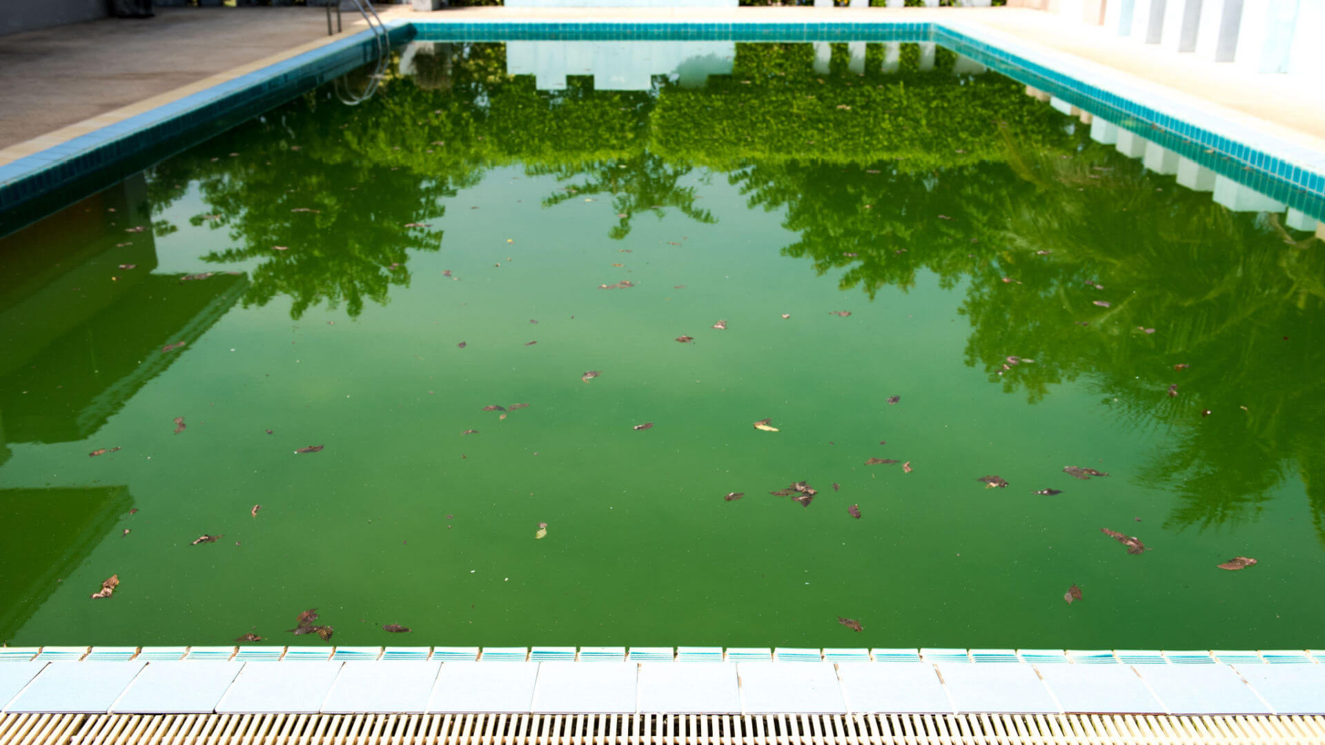 Why Are Pools Dirty After You Open Them Aqua Leisure